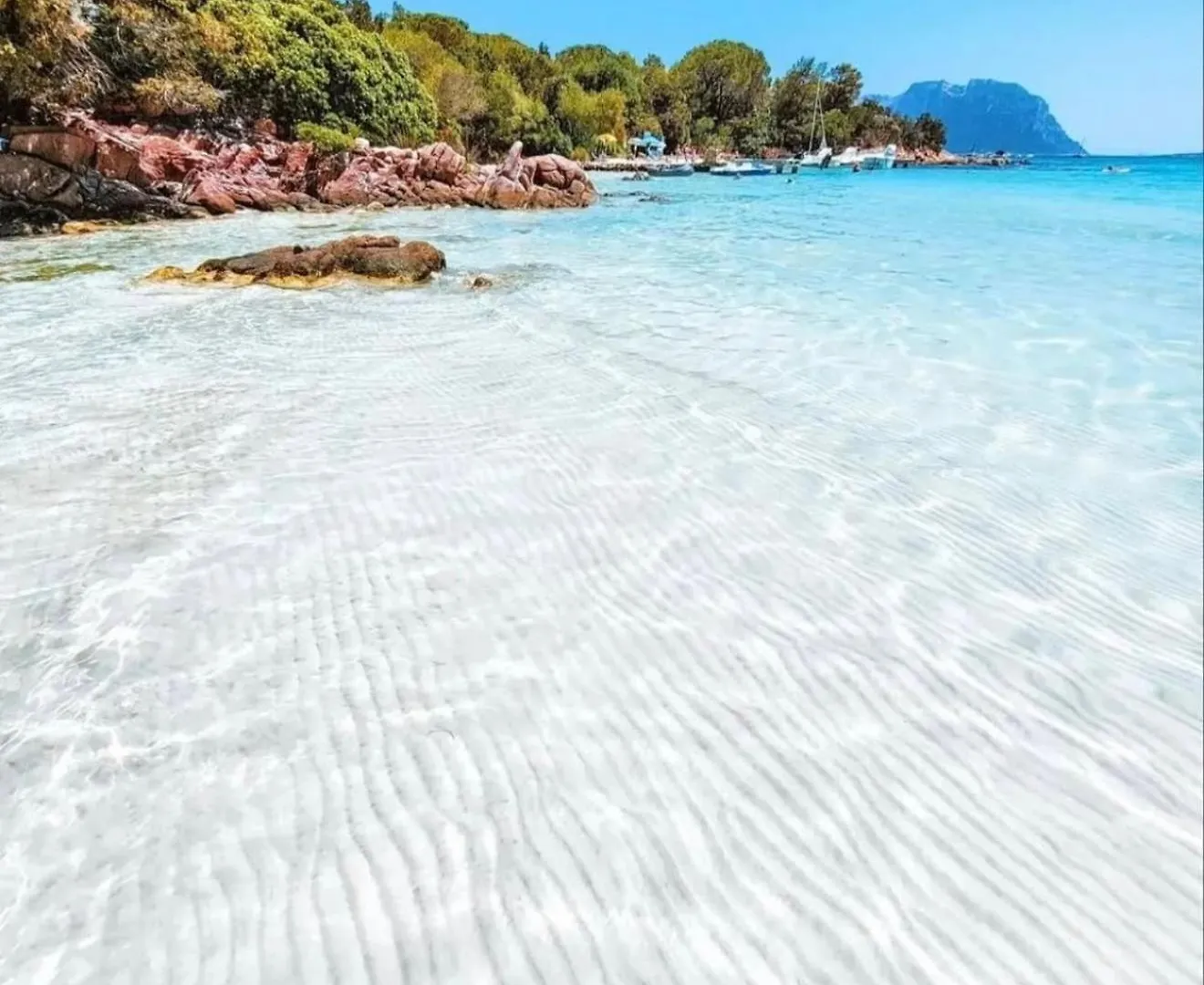 Wind Rose Exclusive -Natural Pool 50 M From The Sea Olbia Nyaraló